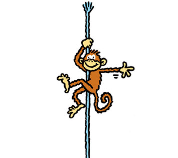 3039_ropes_monkeys.jpg